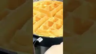 Waffle Wonderland