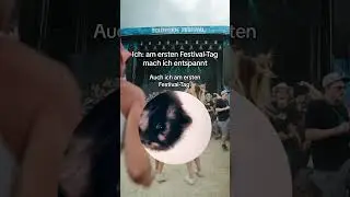 Auf dem Festival geb' ich immer 110% 💪 #southside #festival #meme #pedro #waschbär