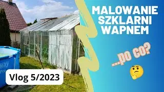 Vlog 5/2023 Malowanie szklarni i przycinanie pomidorów