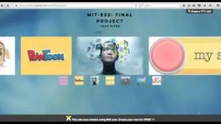 MIT822 Final Project