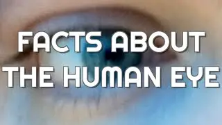 10 Fascinating Facts About The Human Eye