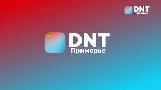 Смена логотипа и оформления (DNT Приморье, 04.04.2023)