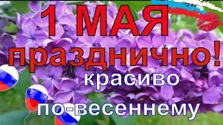 1 Мая   2023 год   Когда цветут сады   Анна Герман