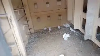 Не большой обзор.