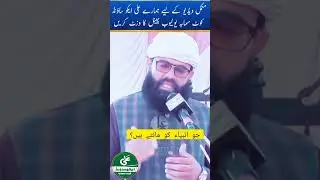peer Ahmed Raza Shah Bukhari #2024 #new #latest #bayan #viral #viralvideo #shortsvideo #status