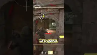 Uninvited Raccoon Wreaks Havoc | MW2 Story Time! 