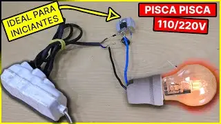 110V/220V Flasher Circuit! Ideal for beginners, NO IC and NO CIRCUIT BOARD (UTsource)
