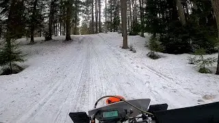ПОКАТУШКА В РОЩИНО