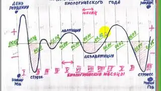 Пояснялки - объяснялки. Биоритмы года