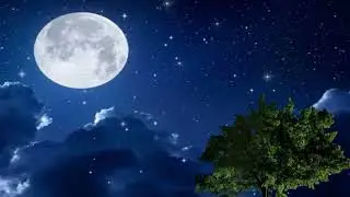 Night Sky Animation Video Copy Right Free//Night Sky Animation Video