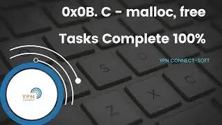 0x0B. C - malloc, free (100% Solved) 