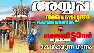 സ്പെഷ്യൽ സൂപ്പർഹിറ്റ് അയ്യപ്പഭക്തിഗാനങ്ങൾ | Lord Ayyappa Devotional Songs 2024 | Ayyappa Devotional