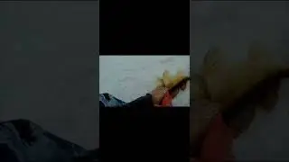 Судак на 19 кг. 