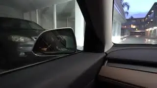 Finally got the sentry mode update for my Tesla Model 3!