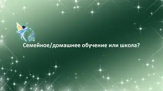 Что лучше домашнее обучение или школа?