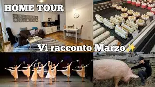 Home Tour🏠 Racconto le NOVITÀ di Marzo✨️ Viaggio in Belgio, Pasticceria Vegan, Pasqua al Santuario🐷