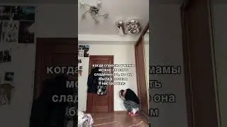 #мем 🤣🤣🤣