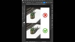 Photoshop 2025 - Tips to create Drop Shadow for potted plants 