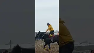 бузкаши зафаробод сирожиддин бо аспи сенатор 17 02 24 🇹🇯🇺🇿🇰🇿👍