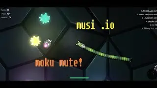mi musi e musi .Io! I play some .io games!