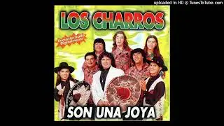 LO MEJOR DE LOS CHARROS mix