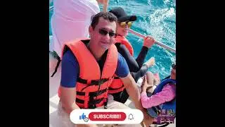 An Amazing Day with Dolphins & Stingrays @ Maldives