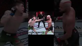 Figueiredo Loves To Counter