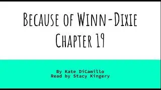 Because of Winn Dixie, Chpater 19