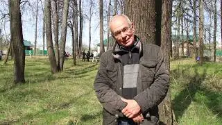 Романов новый