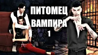 Питомец вампира  Симс 4 сериал с озвучкой 1 серия