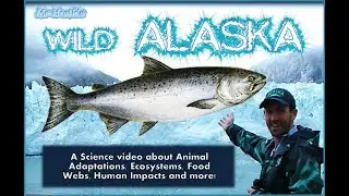 Wild Alaska - Salmon (Animal Adaptations and more!)