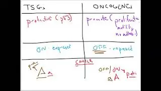 The Genetics and Clinical Treatments of Cancer