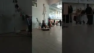 Музыка в аэропорту Таллина. 2 cellos playing hits
