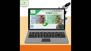 How to put a Grid on top of a Image on ImageJ #imagej #grid #shorts   #science #analysis #image