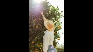 Babylonstoren Minute – 5 August 2022