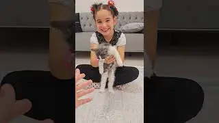 He said he wanted a cat 