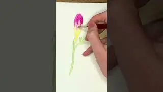 Рисуем фрезии)