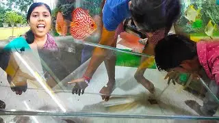 Such A Big Aquarium But Odd Shape😱Aquarium Fish Food🐬Warm