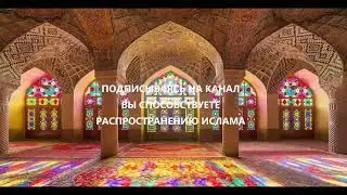 Шейх Мехмет Эфенди. Увеличьте свои салямы и салаваты Пророкуﷺ в ночь на пятницу