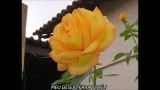 FELIZ ANIVERSÁRIO!!!!  PARABÉNS A VOCÊ !!! 💝🎂🍭🎉🎀🎈🎁🎁