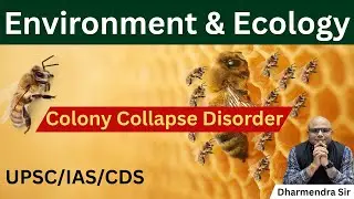 Colony Collapse Disorder #dharmendrasir #ecology #upsc #civilservices #science
