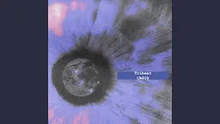 СВ808