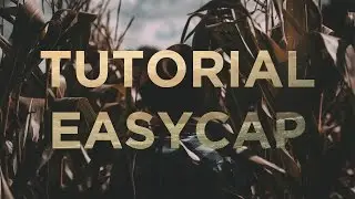 Tutorial -