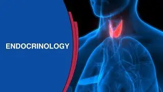 How To Treat Low Blood Sugar? | Best Diabetes Hospital in Bangalore | Manipal Hospitals