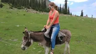 Катаемся на осле на Иссык-куле.