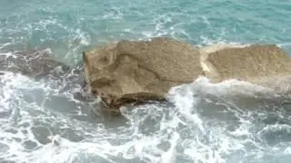 شاهد يسبح في الشتاء في الشلال