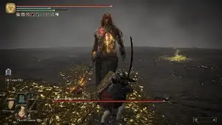 Radagon of the Golden Order / Elden Beast Boss Fight | Elden Ring