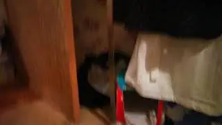 1 атака псов збежать не возможно Кавказа ааа