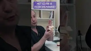 Откуда соли в позвоночнике?! Может их там и нет?! 