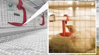 HIGHTOP 50,000 automtaic broiler equipment